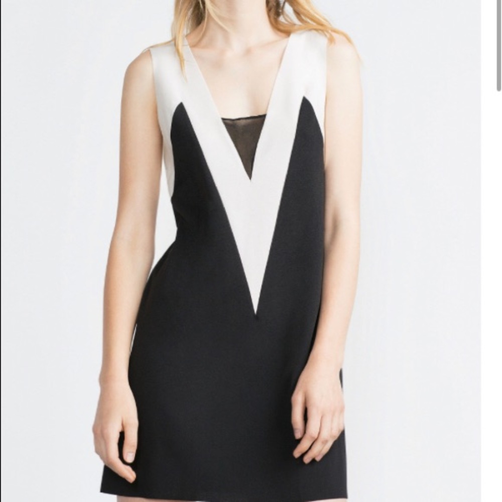 Zara V Neck Dress